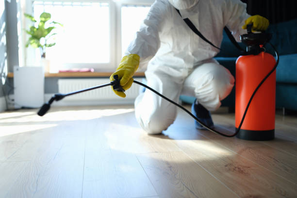 Reliable Hoarding Cleanup contractor in Pinecrest, CA by Trauma Clean Pros